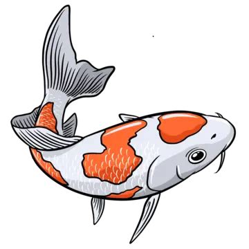 Koi Fish Cartoon Vector, Koi Carp, Koi Fish Vector, Koi Clipart PNG and ...