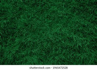 Dark Green Grass Texture Background Stock Photo 1965472528 | Shutterstock