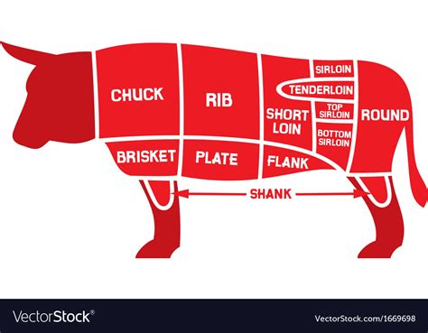 Beef cuts chart Royalty Free Vector Image - VectorStock