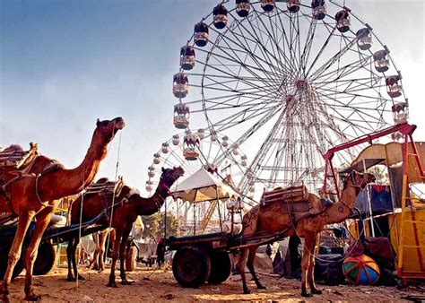 17 Fairs and Festivals of Rajasthan - Holidify