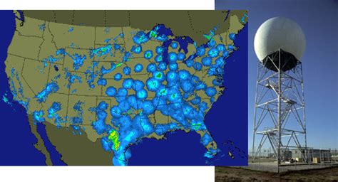 Tracking Migrating Birds | BirdNote