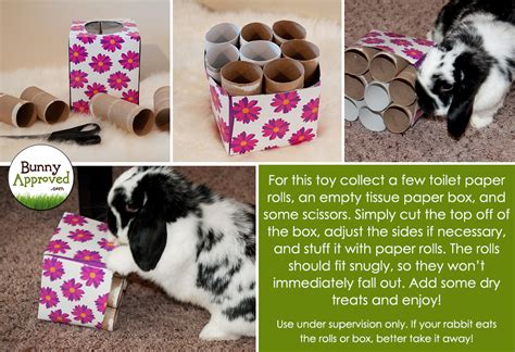 DIY Rabbit Toy Ideas Bunny Approved House Rabbit Toys, Snacks, And ...