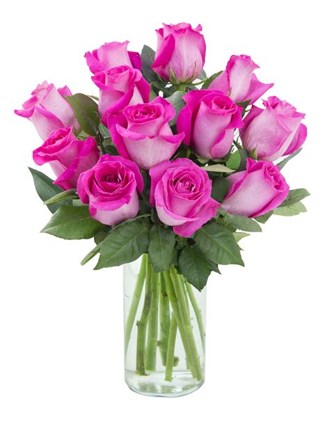 Arabella Farm Direct Bouquet of 12 Fresh Cut Hot Pink Roses with Free ...