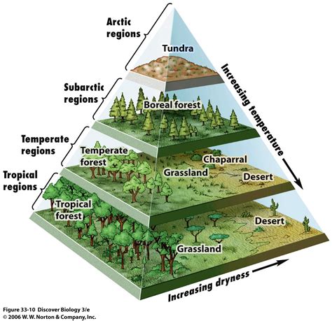 Biome Examples