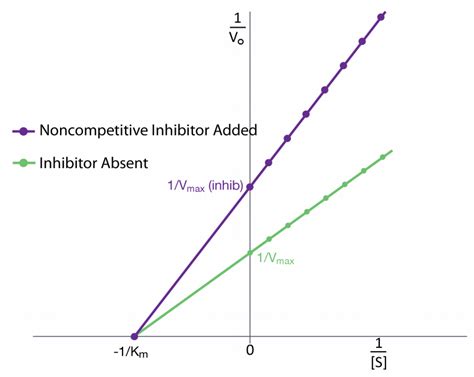 4.11: Enzyme Inhibition - Biology LibreTexts