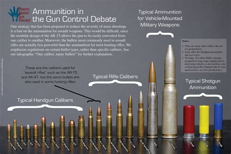 Basic Bullet EXPLAINED: Sizes, Calibers, and Types - {MUST READ}