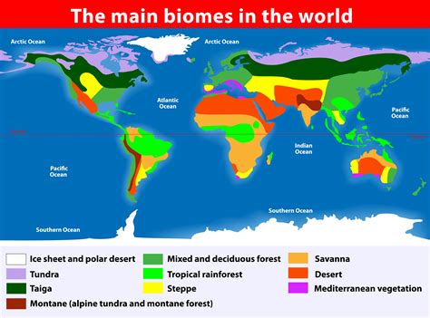 World Biome Map Coloring Worksheet – Zip Worksheet