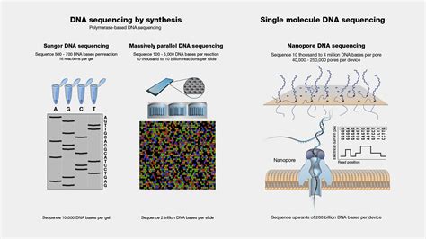 DNA Sequencing