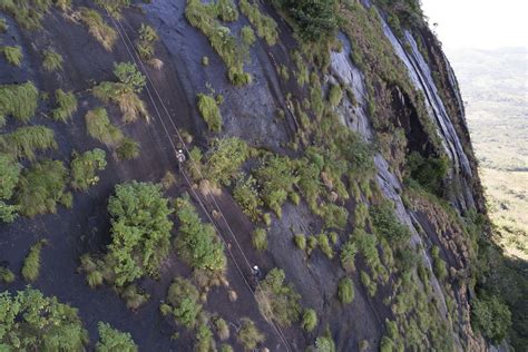 How Google Earth led a team of scientists to discover a rainforest on ...