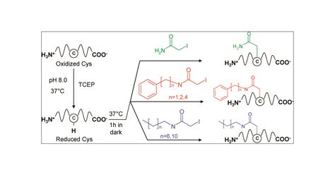 Synthesis, Characterization, and Application of Iodoacetamide ...