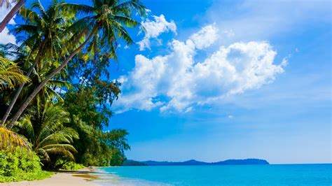 Sunny day on the beach HD Wallpaper Download 5120x2880