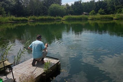 Suffolk Carp Fishing Lakes Near Me - Discover The Best Fishing Spots