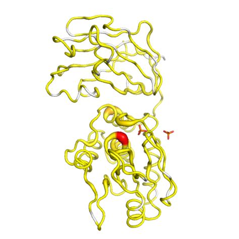 PTEN Gene - Somatic Mutations in Cancer