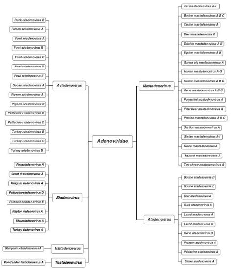 Fowl Adenovirus: Pathogenesis and Control