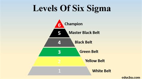 Levels of Six Sigma | Explore the Different Levels of Six Sigma