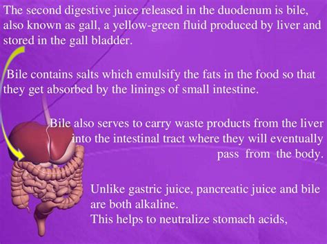 1.digestive juices