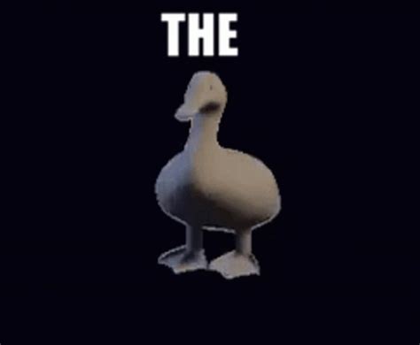 Duck Rotate GIF - Duck Rotate Meme - Discover & Share GIFs