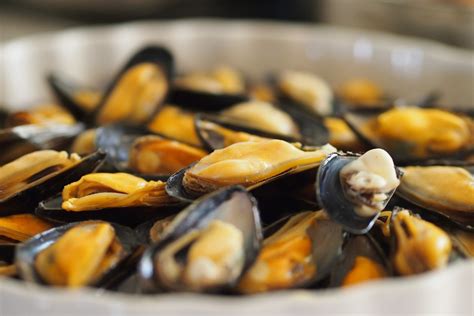 Images Gratuites : moule, aliments, Fruit de mer, bivalve, palourde ...