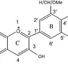 (PDF) Handbook of Anthocyanins. Anthocyanins: Food sources and benefits ...