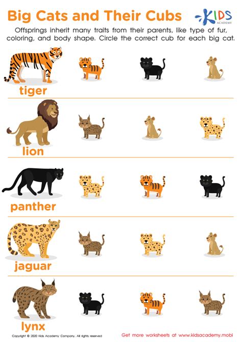 Big Cats and Their Cubs Worksheet for kids