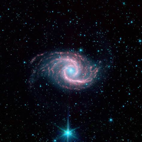 Relationship Between Black Hole Growth and Star Formation in Seyfert ...