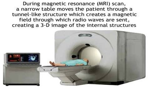 Pet Scan Vs Mri Claustrophobia - Pet Spares