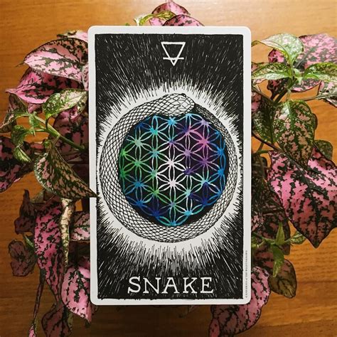 8/26/16: Spirit Animal, The Snake is one of the most mythologized ...