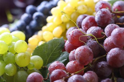 12 Grapes at Midnight | Spanish New Year's Traditions