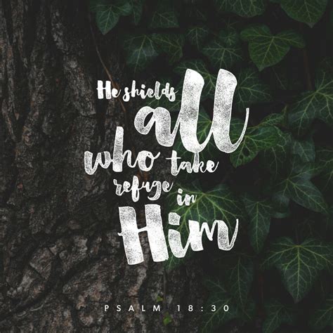 Take Refuge In Him - Psalm 18:30 - 316 Quotes