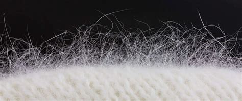 Angora Wool - World's Finest Wool