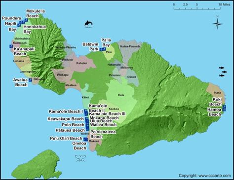 Maui Surf Beaches | Maui Surf Areas