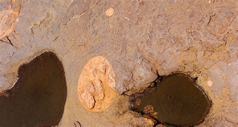 Where Life Began? Matsieng Footprints in Botswana - The Gate