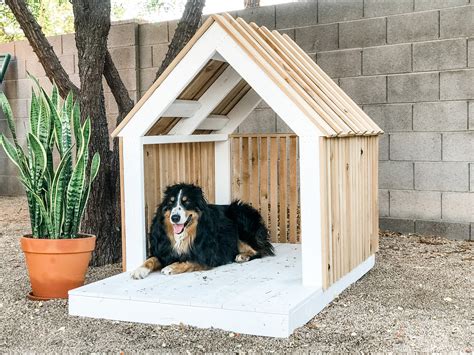 DIY Modern Dog House for Oscar! — the Awesome Orange