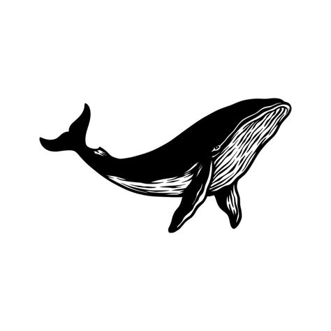 whale fish silhouette vector hand drawn 2245766 Vector Art at Vecteezy