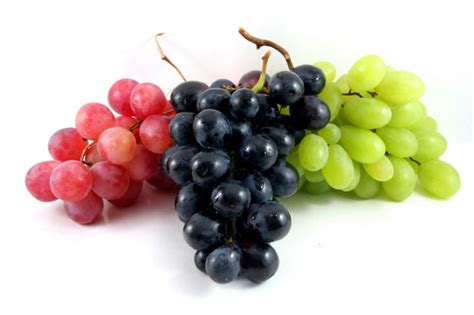 Purple Seedless Table Grapes — Farm Fresh Fundraising