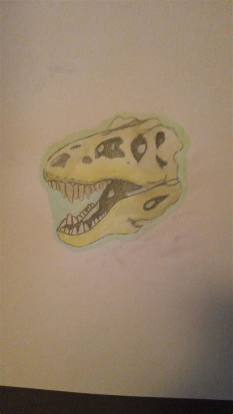 this this t rex skull accurate or at least good (sorry for bad quality ...