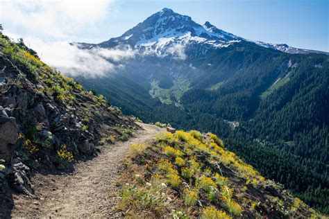 The 11 Best Hikes at Mount Hood: A Complete Hiking Guide