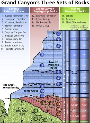 Geologic Column Definition, Formation & Examples | Study.com