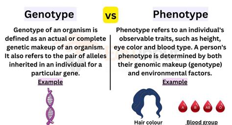 Difference Between Genotype and Phenotype