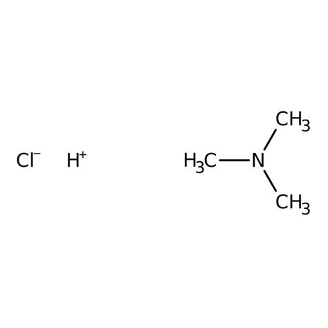 Trimethylamine hydrochloride, 98%, Thermo Scientific Chemicals | Fisher ...