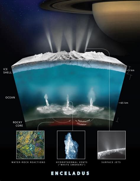 Scientists Find that Earth Bacteria Could Thrive on Enceladus ...