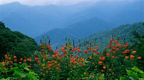 Smoky Mountains Spring Wallpaper - WallpaperSafari