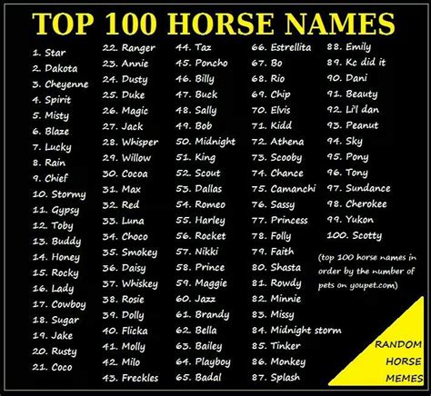 Pin by Tinka Wilson on Horse Camp Ideas | Horse names, Horse show names ...