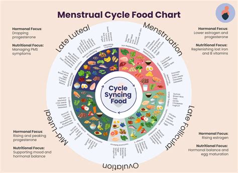 Menstrual Cycle Food Chart