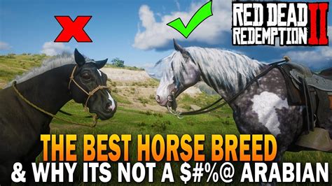 The BEST HORSE Breed In RDR2 And Why It's Not an Arabian - Red Dead ...