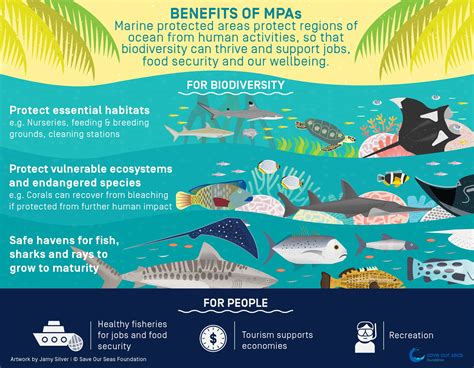 Benefits of Marine Protected Areas | Save Our Seas Foundation