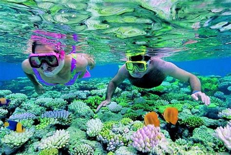 10 Top Mesmerizing Attractions Of Phi Phi Islands - TravelTourXP.com