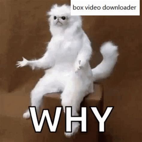 Box Video Downloader Why GIF - BoxVideoDownloader Why Confused ...