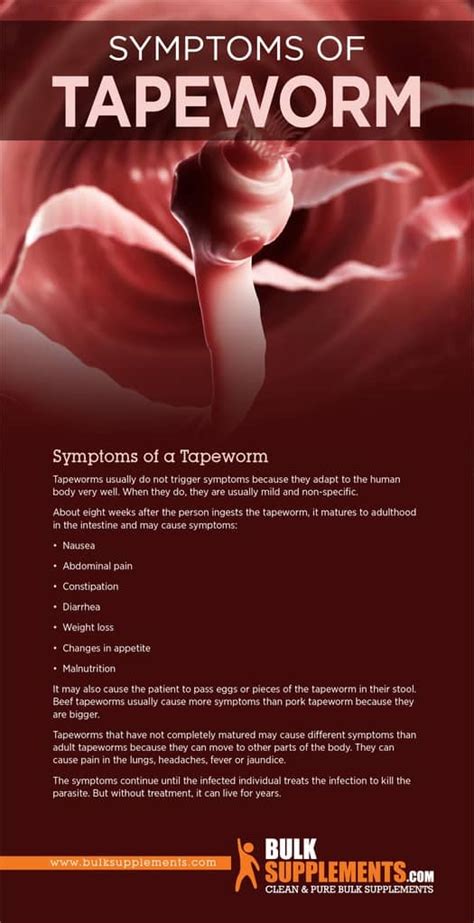 Taeniasis (Tapeworm): Causes, Symptoms & Treatment