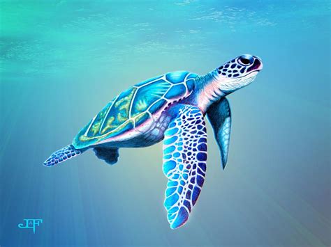 Image result for sea turtle drawings | Sea turtle painting, Sea turtle ...